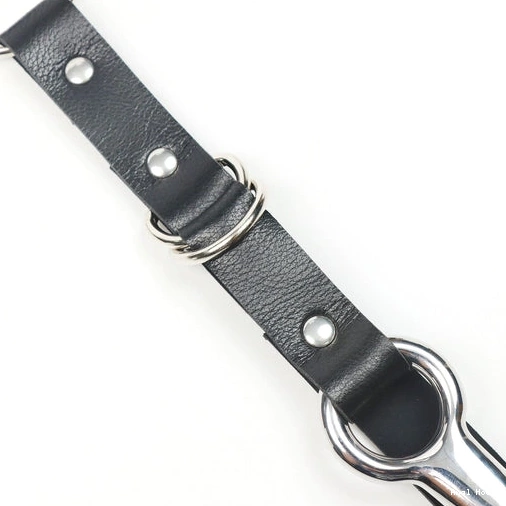 5853 and Kinky Collar Anal with EverydayUse Leash Hook 0912